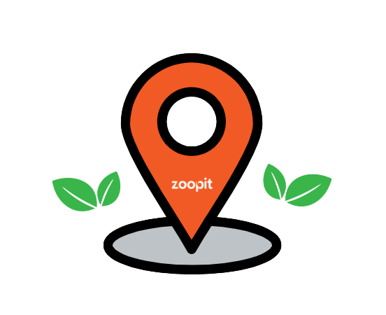rutt zoopit